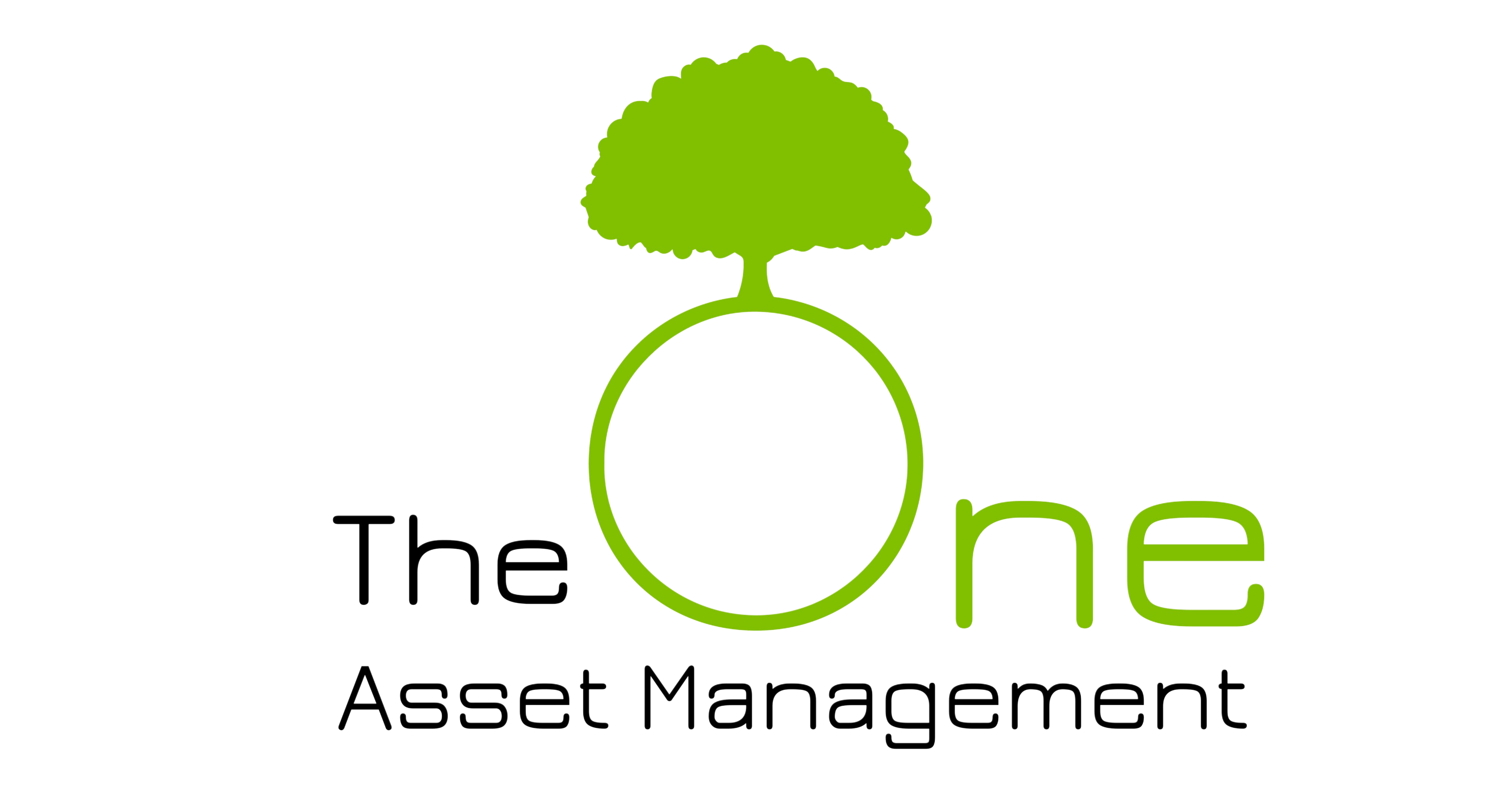 consulting.theoneasset.com